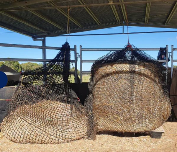 GutzBusta KNOTTED Slow Feed Hay Net : Horse